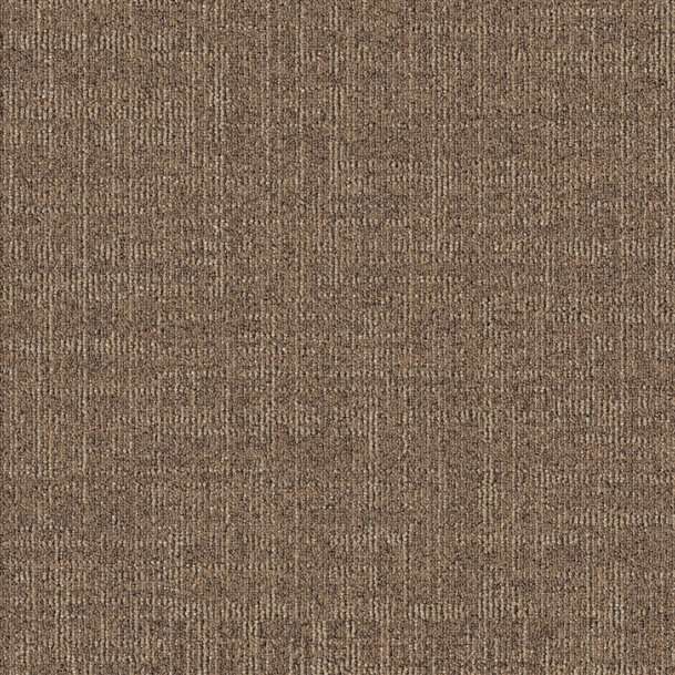 Dune 831